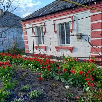 Продам будинок в селі Марївка