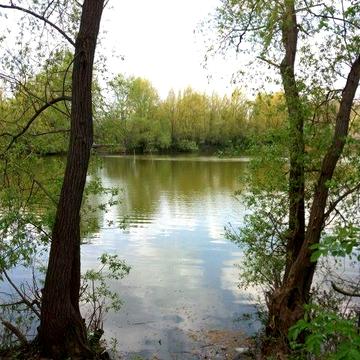 Будинок 67 м² під ремонт на березі ставка, с.