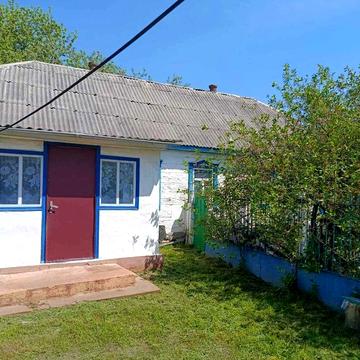 Затишний будинок із приватизованою ділянкою (40 соток) – під дачу чи господарство