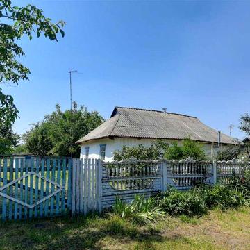 Ділянка 60 соток з хатою та газом, с. Буденне (Білоцерківський р-н)