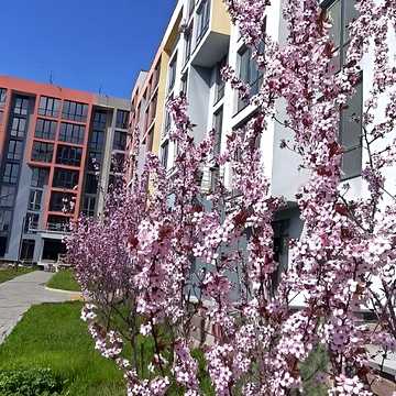 Продаж 1к Квартира Марсельська вулиця ЖК Приморские Сады