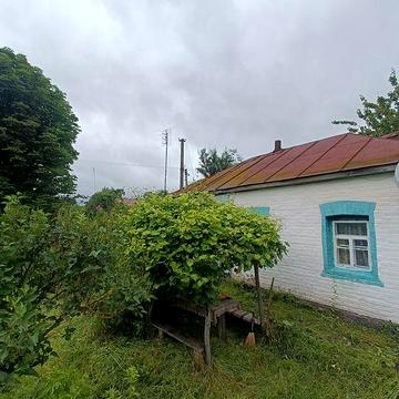 Будинок у мальовничому селі Оболоння біля Десни, лісів та озер