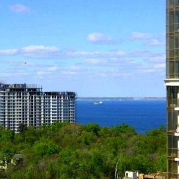 7 Жемчужина/Французский бульвар. Вид на море. Ремонт. 1 к. квартира. Кухня-студия