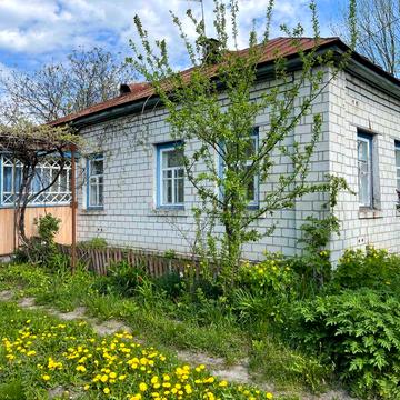 Продам житловий будинок у Носівці, 55 м², з меблями, господарські споруди, огород 0,24Га.
