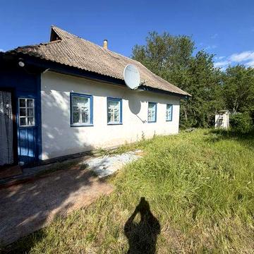 Будинок в селі Боровиця