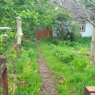 Продам будинок в селі Сунки Черкаського району