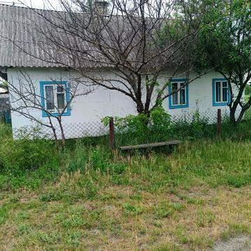 Будинок з земельною ділянкою