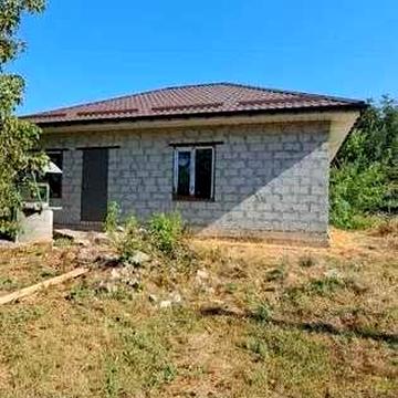 Приватний будинок в селищі Петриківка