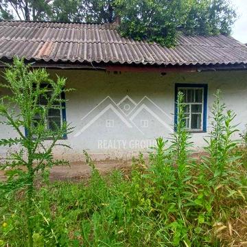 Продаж будинка  з ділянкою під сонячні панелі чи пасіку.