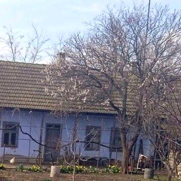 Продажа дом под восстановление или солнечные панели центральная часть города