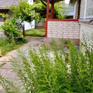 Здається будинок в оренду на довгий термін