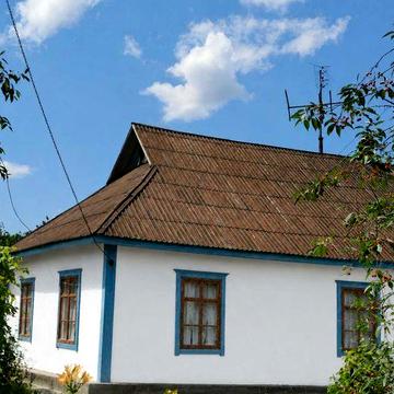 Будинок 100 м² на 1 га землі | Баня | Колодязь | Житомирська обл. | 15 000 $