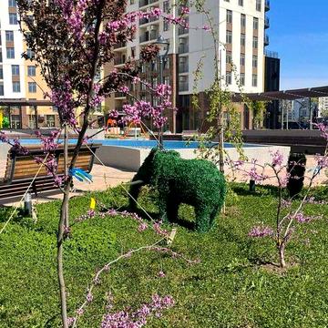 Продам квартиру на Краснова в 68 Жемчужине ЖК 68 Жемчужина