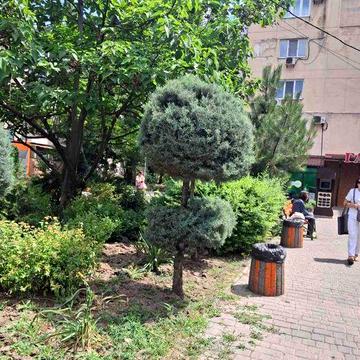 Трехкомнатная на Фонтане