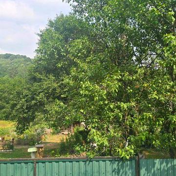 Будиночок з ділянками у мальовничій місцевості