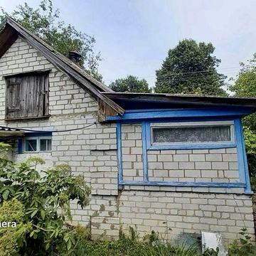 Будинок із великою земельною ділянкою 46 соток у с. Зороків — лише $10.500