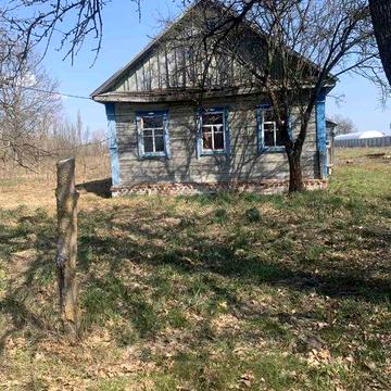 Продам будинок в с.Мусійки Іванківського району
