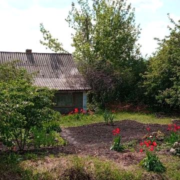 Дім в м.Подільськ. Великий участок.