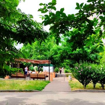 Здам  квартиру 1-кімн
