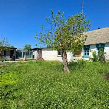 Продаж окремого будинку в с. Скребиші , що за 16 км від Білої Церкви