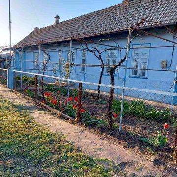 Продається затишний будинок