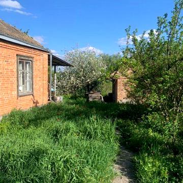 Цегляний будинок, біля річки Супій, Яготин