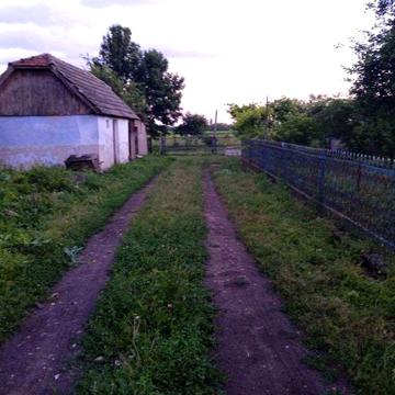 Продам будинок М.Скалат. 4 км. Від Скалата. 36 сотих землі. Місто тихе спокійне.