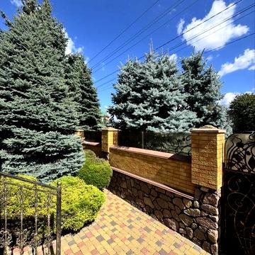 Продаж елітного будинку Без комісії! 403 м² з басейном | Софіївська Борщагівка | вул. Жилянська