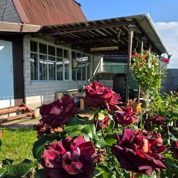 Продам дачу рядом с рекой, Самаровка, Слобожанское