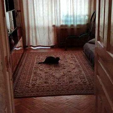 Продається двокімнатна квартира.