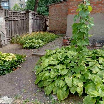 Продам две квартиры в доме. Р-н пр. А.Поля