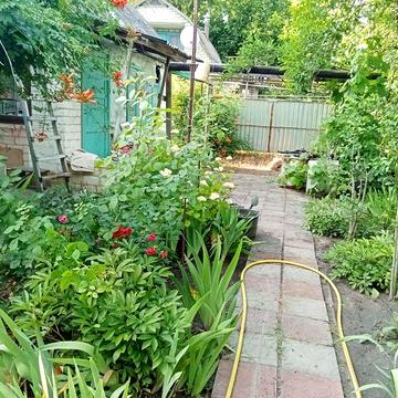 Терміново продаю дачу СТМічурінець, 6 соток,садок ,город.