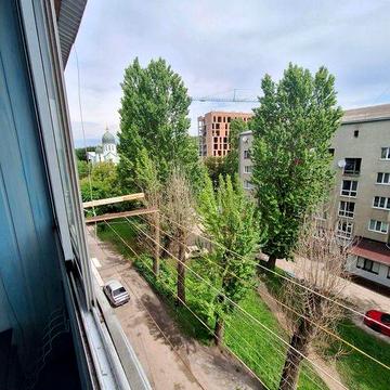 Здається однокімнатка квартира, Дружба