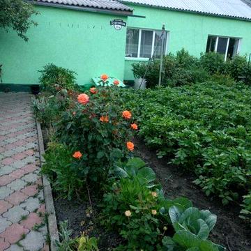 Будинок в затишному місці