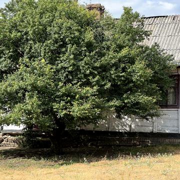 Продам будинок під реконструкцію у с. Волсвин ( 7 км до м. Шептицький )