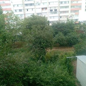Нерухомісті нерухомісті