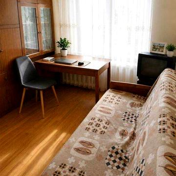 1 кімнатна квартира на Виноградарі