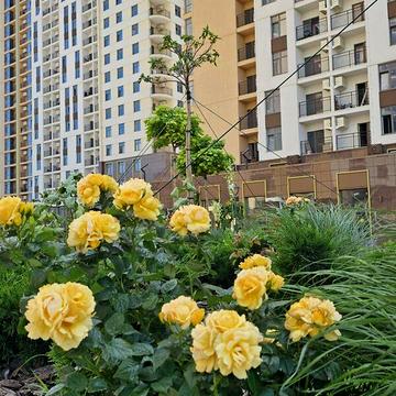 Продаж 2к Квартира Краснова вулиця ЖК Kadorr City