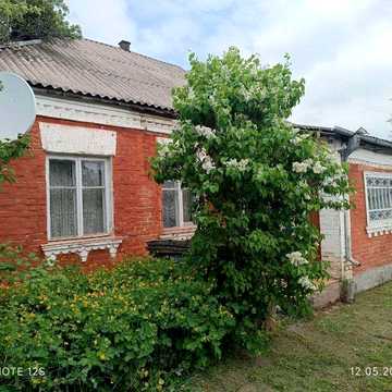 Продаж будинку в Ставище Київська юбл.