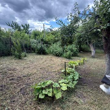 Продаж дачного будинку в м. Біла церква , Сухий яр