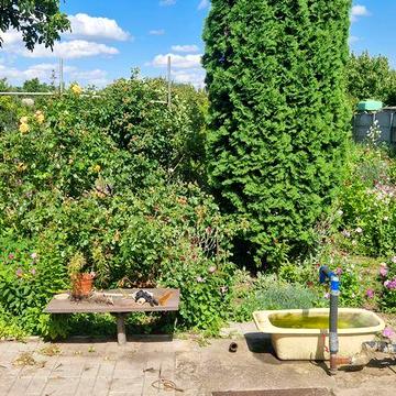Продам дачу в Николаевке