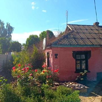 Продається будинок Дмитрушки