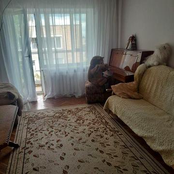 Здам  3к квартиру в Луцьку