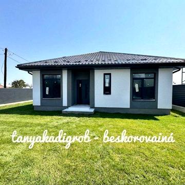 Продаж Сучасного одноповерхового будинку, газ!