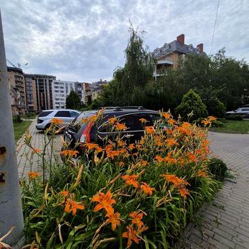 Продається з Дизайнерським ремонтом у ЖК Боздош Еліт ЖК БОЗДОШ- ЕЛІТ