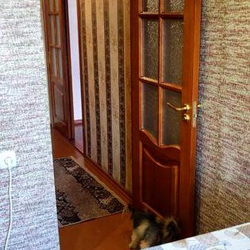Реально Сдам 1-из.квартира метро Новые дома Дворец спорта