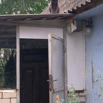 Старий будинок в березанівці 25 сот