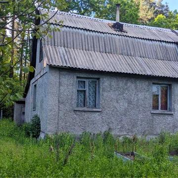 Власна дача біля лісу! Чисте повітря, гриби, ягоди та тиша всього за 30 км від Києва