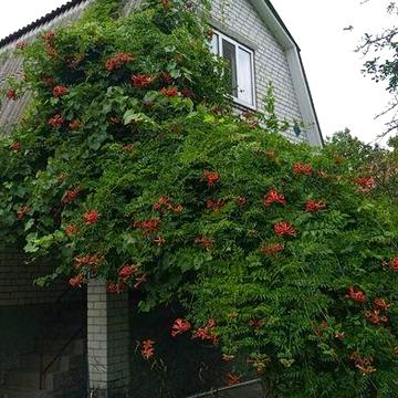 Продаж будинку  - дачі  вул.Озерна, Славутич, Осокорки, Дніпро