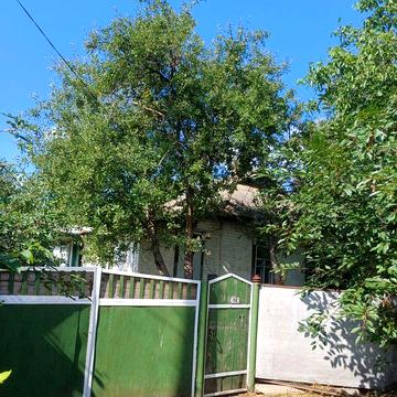 Продам будинок в Борзні Чернігівської області 97 кв.м.